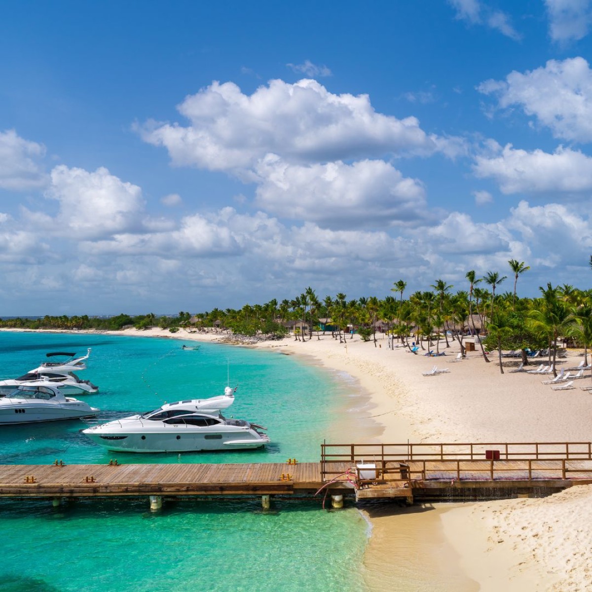 Scuba Diving Isla Catalina: An Unforgettable Underwater Adventure