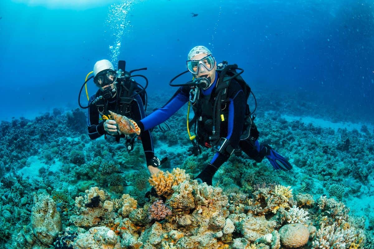 The Snorkeling Beginner's Guide