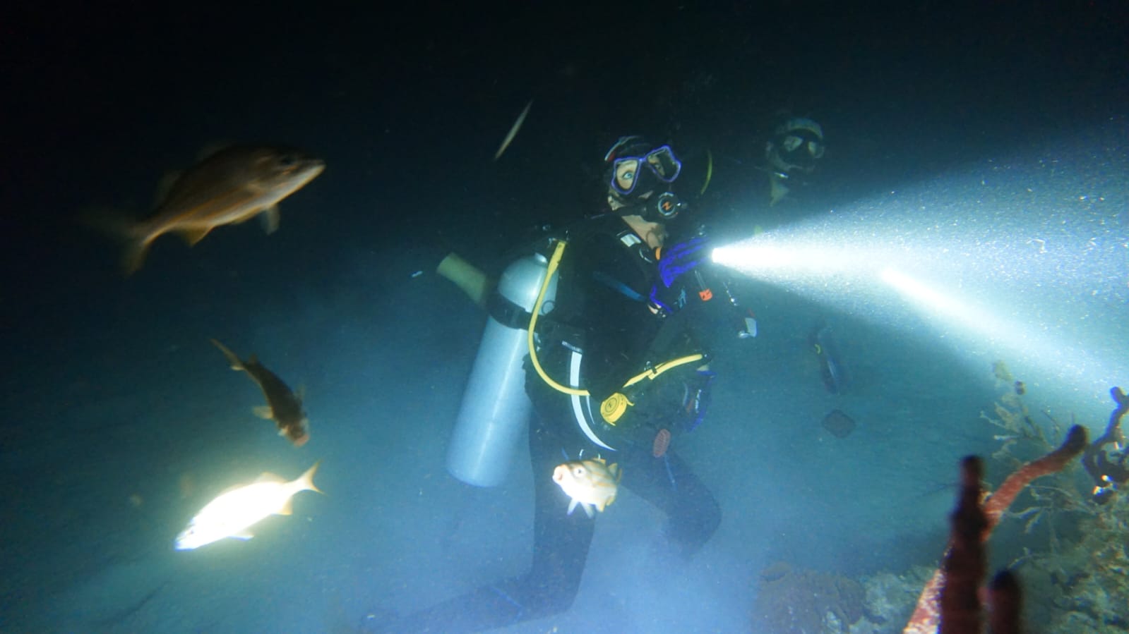 Buceo nocturno en aguas oscuras