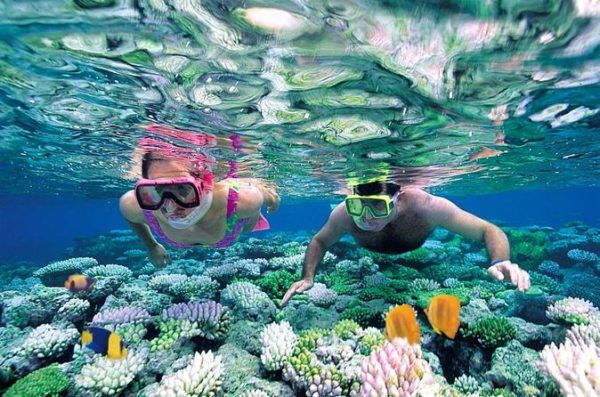 snorkel