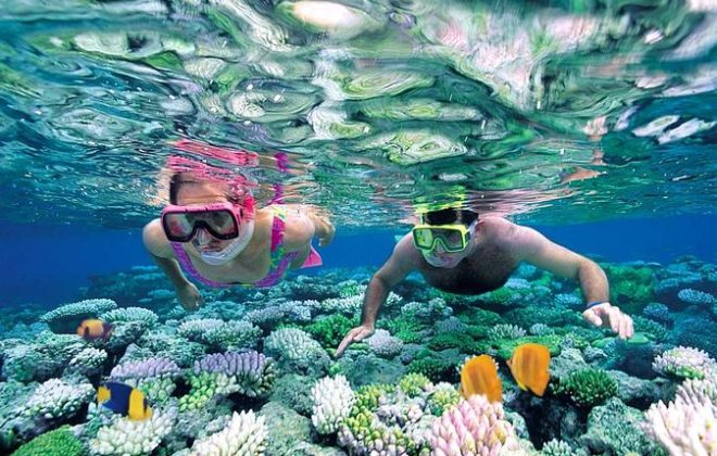 servicio de snorkeling punta cana