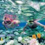 Snorkeling in Punta Cana with Private Dive Service