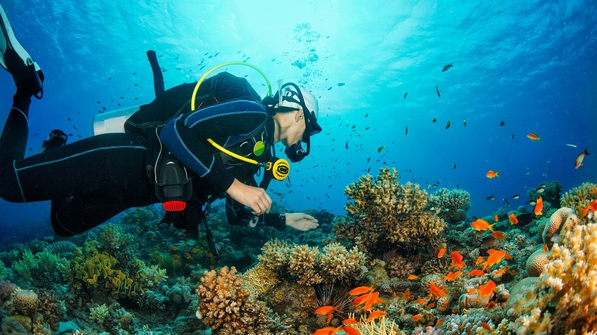 Scuba Diving in Bayahibe, buceo Dominican Republic