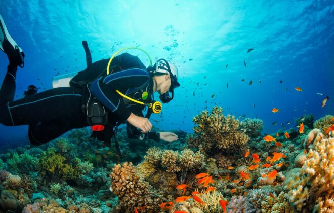 Scuba Diving in Bayahibe, buceo Dominican Republic