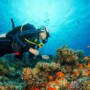 Diving Service in Bayahibe, Dominican Republic.