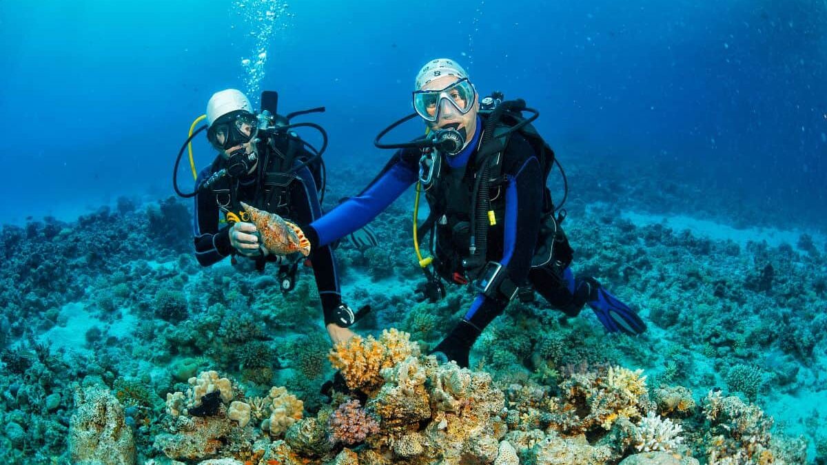 imagen representativa de Dive service en isla saona