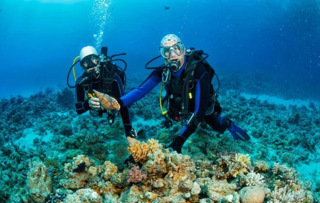 imagen representativa de Dive service en isla saona