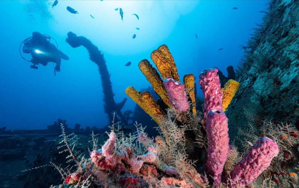 diving dominican republic